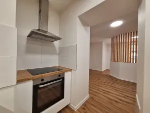 Pronájem bytu 1+1, Praha - Bubeneč, U zeměpisného ústavu, 37 m2