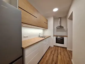 Pronájem bytu 1+1, Praha - Bubeneč, U zeměpisného ústavu, 37 m2