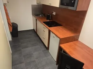 Pronájem obchodního prostoru, Olomouc, Kafkova, 300 m2