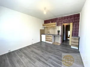 Pronájem bytu 1+kk, Tábor, Jaselská, 22 m2
