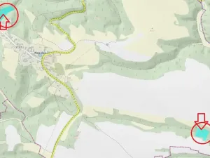 Prodej podílu lesa, Nosálov, 10723 m2
