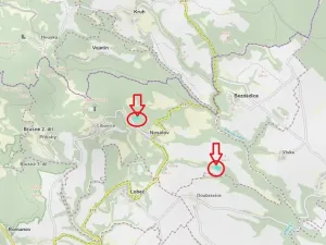 Prodej podílu lesa, Nosálov, 10723 m2