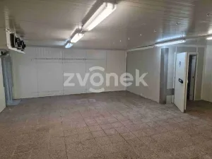 Pronájem výrobních prostor, Uherské Hradiště, Na Příkopě, 780 m2