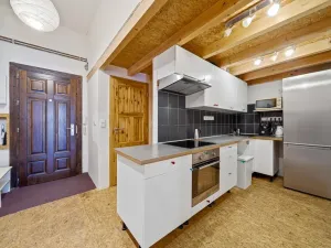 Prodej bytu 3+1, Brno - Staré Brno, Zahradnická, 62 m2