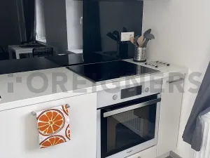 Pronájem bytu 1+kk, Plzeň, Kardinála Berana, 45 m2