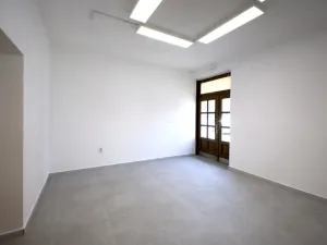 Pronájem obchodního prostoru, Plzeň - Jižní Předměstí, Kollárova, 21 m2