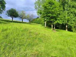 Prodej chalupy, Kounov - Nedvězí, 267 m2