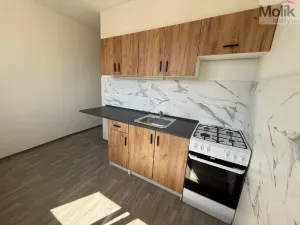 Pronájem bytu 2+1, Most, Jaroslava Vrchlického, 55 m2