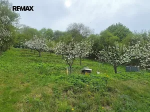Prodej chalupy, Březová nad Svitavou, Zářečí, 100 m2