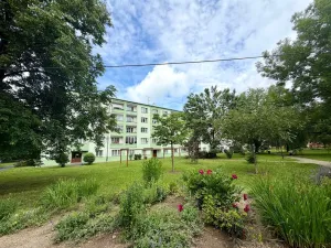 Pronájem bytu 2+1, Cheb, 17. listopadu, 54 m2