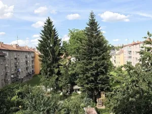 Pronájem bytu 2+1, Brno, Elišky Machové, 78 m2