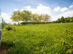Prodej pozemku pro bydlení, Bukvice, 1400 m2