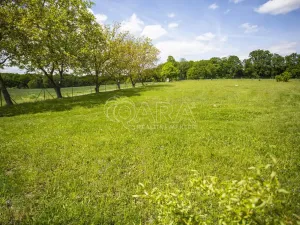 Prodej pozemku pro bydlení, Bukvice, 1400 m2