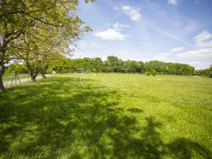 Prodej pozemku pro bydlení, Bukvice, 1400 m2