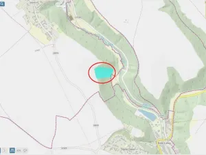 Prodej lesa, Kovanec, 21606 m2