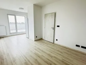 Pronájem bytu 1+kk, Plzeň, Pilařská, 40 m2