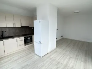 Pronájem bytu 1+kk, Plzeň, Pilařská, 40 m2