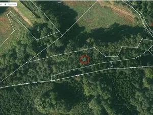 Prodej lesa, Bradlecká Lhota, 5202 m2