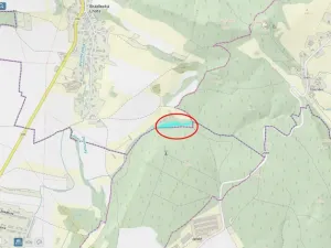 Prodej lesa, Bradlecká Lhota, 5202 m2
