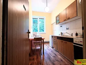 Pronájem bytu 1+1, Adamov, 19 m2