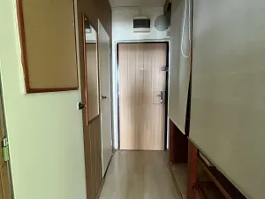 Pronájem bytu 1+kk, Český Těšín, Slezská, 31 m2