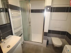 Pronájem bytu 1+kk, Olomouc, Wolkerova, 33 m2