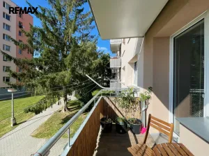 Pronájem bytu 1+1, Písek - Budějovické Předměstí, třída Přátelství, 40 m2