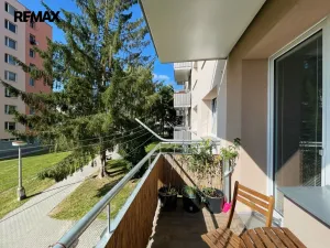 Pronájem bytu 1+1, Písek - Budějovické Předměstí, třída Přátelství, 40 m2