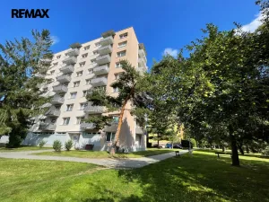 Pronájem bytu 1+1, Písek - Budějovické Předměstí, třída Přátelství, 40 m2