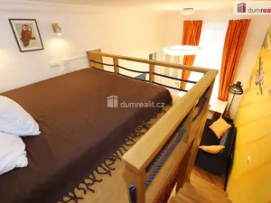Pronájem bytu 1+1, Praha - Nové Město, Hálkova, 32 m2