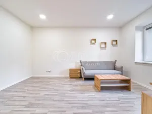 Pronájem bytu 1+1, Moravská Ostrava, Sokolská třída, 43 m2