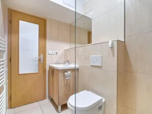 Pronájem bytu 1+1, Moravská Ostrava, Sokolská třída, 43 m2