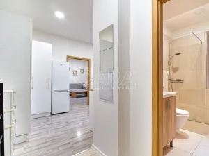 Pronájem bytu 1+1, Moravská Ostrava, Sokolská třída, 43 m2