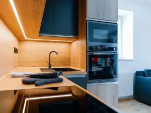 Prodej bytu 2+kk, Loučná pod Klínovcem, 55 m2