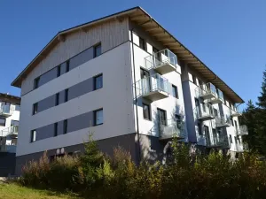Prodej bytu 2+kk, Loučná pod Klínovcem, 55 m2