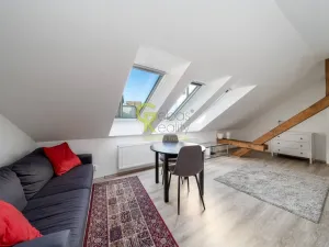Pronájem bytu 1+kk, Praha - Žižkov, Čajkovského, 39 m2
