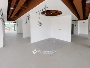 Pronájem kanceláře, Dyje, 270 m2