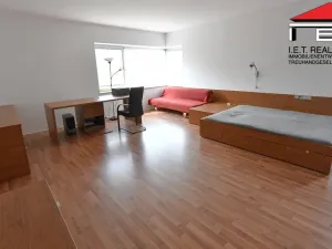 Prodej rodinného domu, Ostrava, Hájkovická, 325 m2