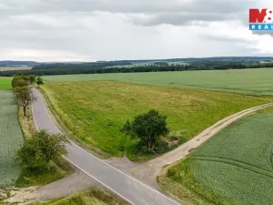 Prodej pole, Ostrov u Bezdružic - Krsov, 101002 m2