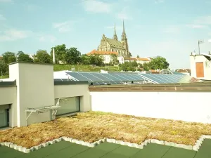 Pronájem bytu 1+kk, Brno, Vodní, 20 m2