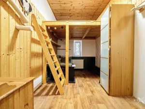 Pronájem bytu 3+1, Břežany II, 60 m2