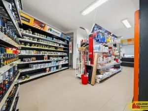Prodej rodinného domu, Pohořelice, 350 m2