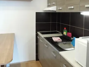 Pronájem bytu 2+kk, Brno, Běloruská, 50 m2