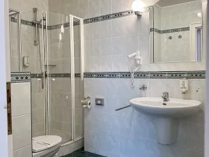 Prodej ubytování, Mariánské Lázně, Anglická, 616 m2