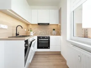 Pronájem bytu 1+1, Ostrava - Výškovice, Na Výspě, 38 m2