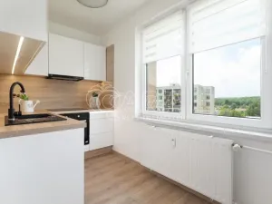 Pronájem bytu 1+1, Ostrava - Výškovice, Na Výspě, 38 m2