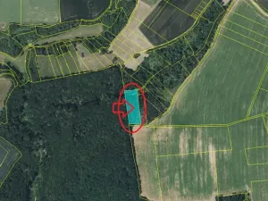Prodej lesa, Řepín, 5226 m2
