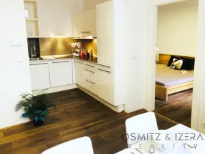 Pronájem bytu 2+kk, Praha - Josefov, Bílkova, 37 m2