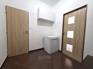 Pronájem bytu 1+1, České Budějovice - České Budějovice 3, Pekárenská, 51 m2