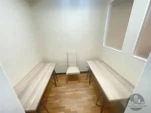 Pronájem bytu 4+kk, Praha - Vinohrady, Mánesova, 111 m2